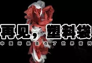 告別“白色污染” 湖北鄉(xiāng)鎮(zhèn)的“禁塑”新篇章